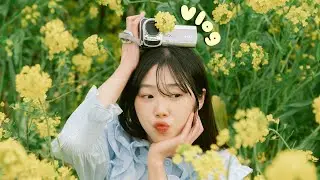 Hương mùa Xuân