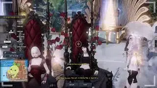 [Lost Ark KR] Daily Ark