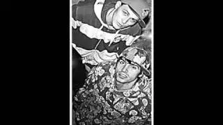 MIKE WSC feat Миха Гам -СТАЯ (РУССКИЙ РЭП).flv