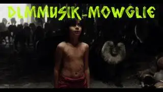 Type beat PNL (MOWGLIE)-DLM MUSIK
