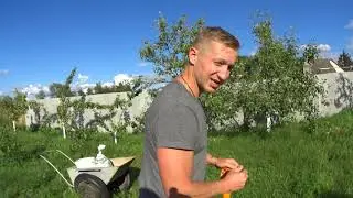ПРИБАВЛЕНИЕ В ОГОРОДЕ