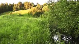река, поле, лес - футаж hd