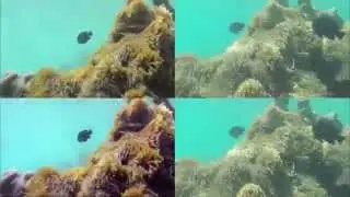 GoPro Hero 4 v Nikon 1 AW1 ...which camera is best for snorkelling ?