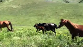 Терский хребет. г.Грозный.