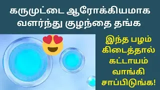 One best fruit for quality egg growth Tamil | how to get pregnant fast in tamil