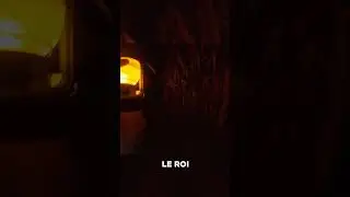 Le roi du silence... 💨