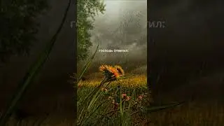 Пророк Муса алейхи салям спросил Всевышнего Аллаха ...