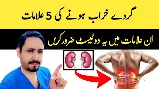 5 Warning Signs That Your Kidneys Are In Danger Urdu Hindi - Dr Irfan