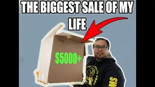 The BIGGEST EBAY SALE of MY LIFE