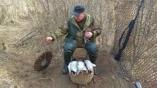 Охота с подсадной уткой весной апрель  2018  ( в конце кружок для подсадной утки)