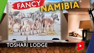 FANCY HOTEL In Middle Of NAMIBIA WILDERNESS 🇳🇦 #Shorts