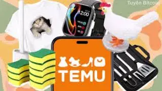 Sự Trỗi Dậy Của Temu - Nguy Cơ 'Đè Bẹp' Hàng Bán Lẻ Nội Địa