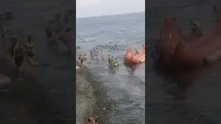 приплыли