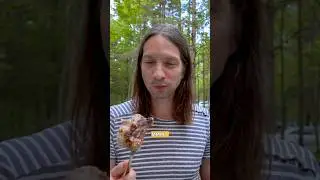 ШАШЛЫК из свинины на костре | полное видео на @Vsevsad