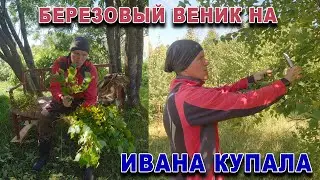 Березовые веники на Ивана купала.