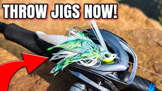 Summer Bass LOVE Swim Jigs!