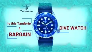 TANDORIO DIVE WATCH BARGAIN?