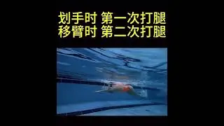 蝶泳初学，手和脚的次数配合，butterfly swimming starter