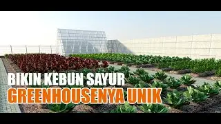 Tutorial Sketchup - Kebun Sayur dan Greenhouse Unik
