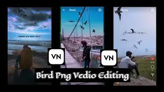How to Edit Bird 🕊️ Png Effect video// Bird Png wali video kese Banay..💯 || #birdpngvideo #trending