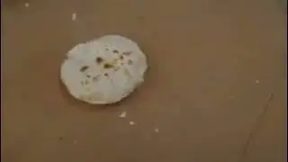 Mexican  Flour Tortilla making machine,Burrito / Taco Wrappers /Soft  tortillas wrappers