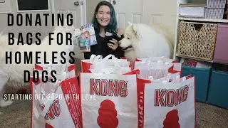 Samoyeds Make Goodie Bags for Homeless Dogs