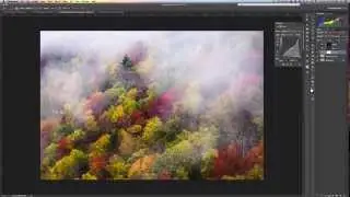 Fall Foliage Tutorial