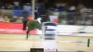7 y. old Corrido x Landjunge