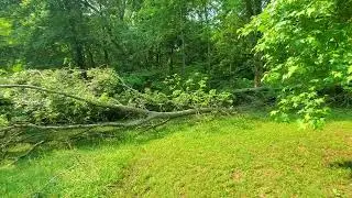 Storm damage more work for me.