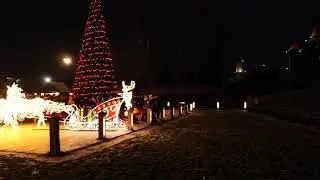 LP 2 031221