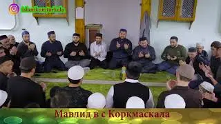 Мавлид с Коркмаскала  