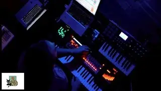 Ott & The All Seeing I - Owl Stretching Time (Live)