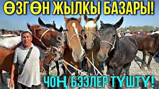 БЭЭ БАЙТАЛ ТАЙ БААЛАРЫ 🤯 #байтв