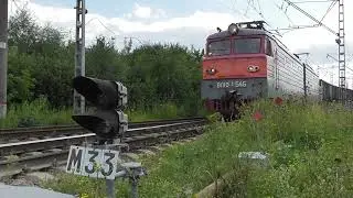 Фрязево, лето 2022