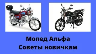 Review of the Alpha 110 Moped (Alpha) owner reviews.