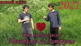 Начибулло & Лутфулло_ "она любила розы" (клип 2021)