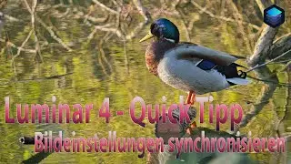 Luminar 4 - Quick Tipp - Bildeinstellungen synchronisieren