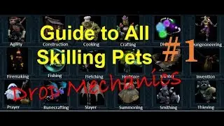 Guide to All Skilling Pets #1 | Drop Mechanics | Runescape3