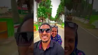 তালের রাজ্য ঘুঘুডাঙ্গা নিয়ামতপুর, নওগাঁ (GhughuDanga)