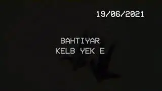 Bahtiyar - Kelb yek e