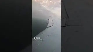 Boeing 787-9 HYDRAULIC SOUND | Flaps extension, wing mechanics and landing at Baku 