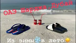 Из зимы❄️в лето!☀️ОАЭ Шарджа, Дубай.