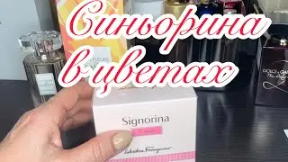 Летуаль.. очень выгодные предложения Пикантная Signorina In Fiore от Salvatore Ferragamo