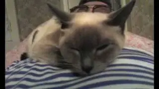 Память.avi