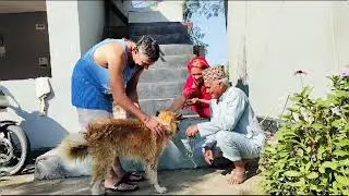 Worshipping Dog - Unique Tradition of Nepal - Dipawali @LogRajBhatt @tarkrbhatt