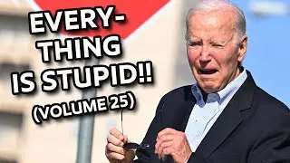 EVERYTHING IS STUPID!!! (VOL. 25 of 1000)
