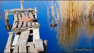 Херсон остров 24марта 2022 г.