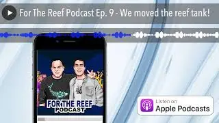 For The Reef Podcast Ep. 9 - We moved the reef tank!