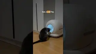 ✨ арт. OZON 1730780029 СКИДКА в описании