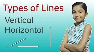 Types of Lines | Vertical line | Horizontal line | Slanting line | What are the types of lines